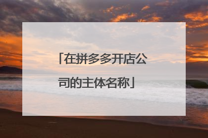 在拼多多开店公司的主体名称