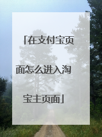 在支付宝页面怎么进入淘宝主页面