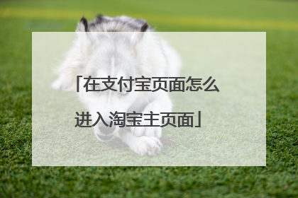 在支付宝页面怎么进入淘宝主页面