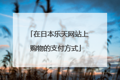 在日本乐天网站上购物的支付方式