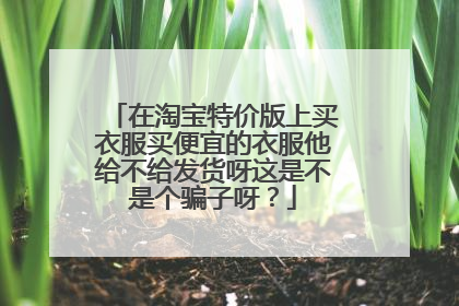 在淘宝特价版上买衣服买便宜的衣服他给不给发货呀这是不是个骗子呀?