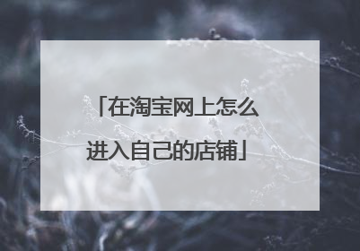 在淘宝网上怎么进入自己的店铺
