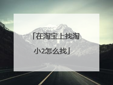 在淘宝上找淘小2怎么找