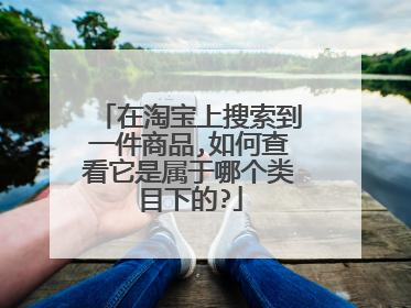 在淘宝上搜索到一件商品,如何查看它是属于哪个类目下的?