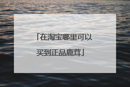 在淘宝哪里可以买到正品鹿茸