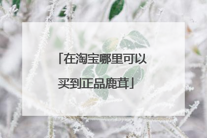 在淘宝哪里可以买到正品鹿茸