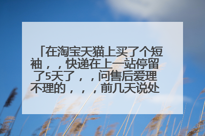 在淘宝天猫上买了个短袖，，快递在上一站停留了5天了，，问售后爱理不理的，，，前几天说处理现在快递还