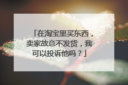 在淘宝里买东西,卖家故意不发货,我可以投诉他吗?