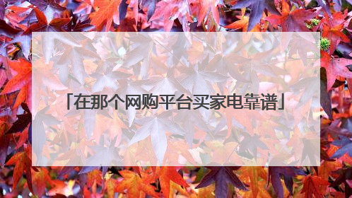 在那个网购平台买家电靠谱