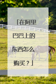 在阿里巴巴上的东西怎么购买？