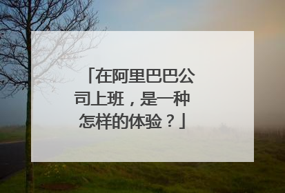 在阿里巴巴公司上班,是一种怎样的体验?