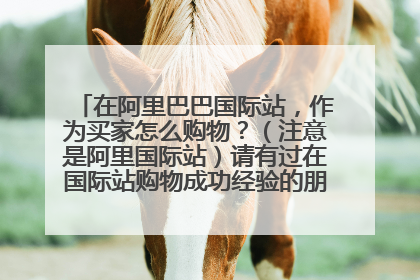 在阿里巴巴国际站,作为买家怎么购物?(注意是阿里国际站)请有过在国际站购物成功经验的朋友回答!谢谢