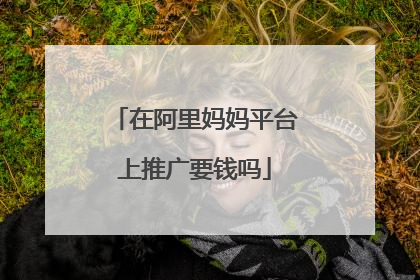 在阿里妈妈平台上推广要钱吗