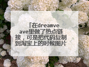 在dreamveave里做了热点链接，可是把代码复制到淘宝上的时候图片就显示不了，链接还可以，求解