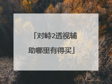 对峙2透视辅助哪里有得买