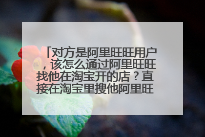 对方是阿里旺旺用户，该怎么通过阿里旺旺找他在淘宝开的店？直接在淘宝里搜他阿里旺旺的名字吗
