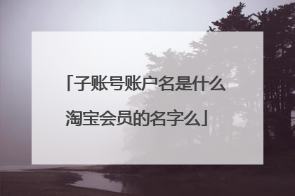 子账号账户名是什么淘宝会员的名字么