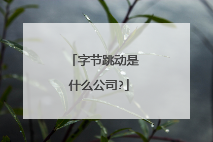 字节跳动是什么公司?