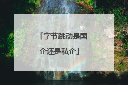 字节跳动是国企还是私企
