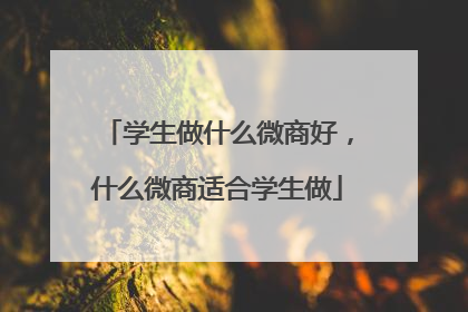学生做什么微商好，什么微商适合学生做
