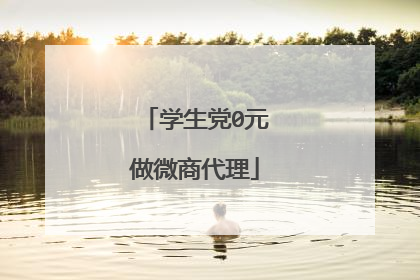 学生党0元做微商代理