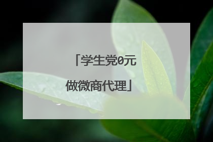 学生党0元做微商代理