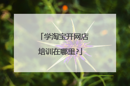 学淘宝开网店培训在哪里?