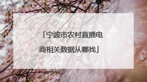 宁波市农村直播电商相关数据从哪找