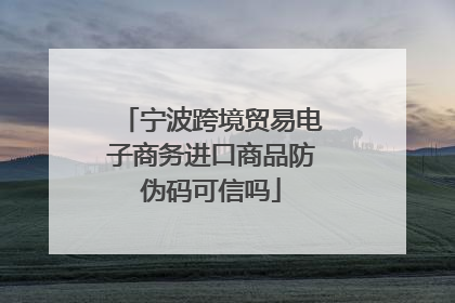 宁波跨境贸易电子商务进口商品防伪码可信吗