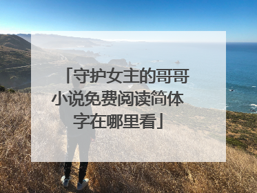 守护女主的哥哥小说免费阅读简体字在哪里看