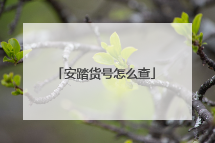 安踏货号怎么查