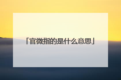 官微指的是什么意思