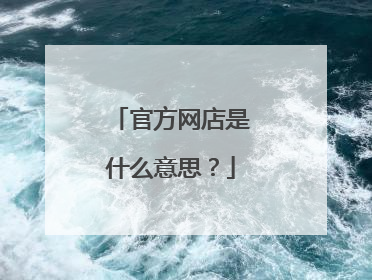 官方网店是什么意思?