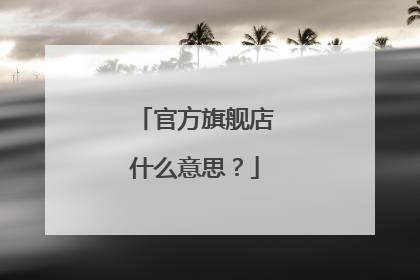 官方旗舰店什么意思?
