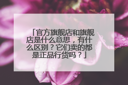 官方旗舰店和旗舰店是什么意思,有什么区别?它们卖的都是正品行货吗?