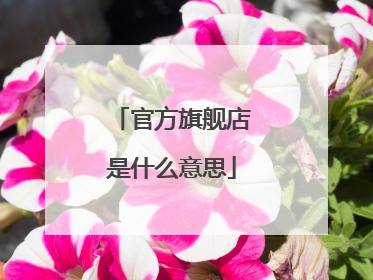 官方旗舰店是什么意思