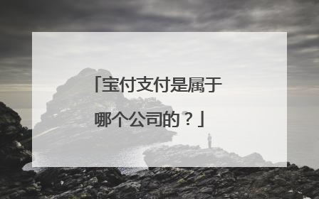 宝付支付是属于哪个公司的?