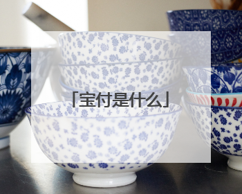 宝付是什么