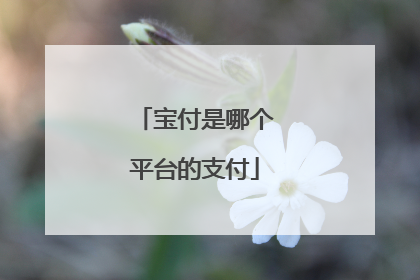 宝付是哪个平台的支付