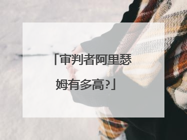 审判者阿里瑟姆有多高?