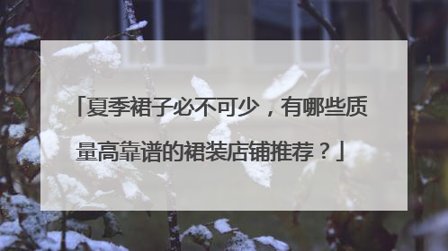 夏季裙子必不可少,有哪些质量高靠谱的裙装店铺推荐?