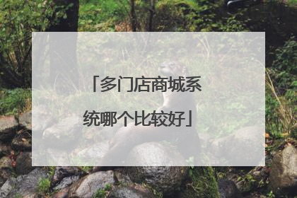 多门店商城系统哪个比较好