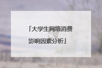 大学生网络消费影响因素分析