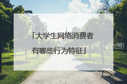 大学生网络消费者有哪些行为特征