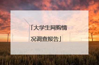 大学生网购情况调查报告
