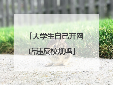 大学生自己开网店违反校规吗