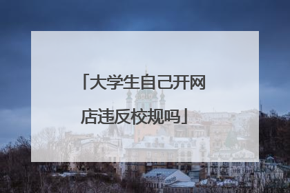 大学生自己开网店违反校规吗