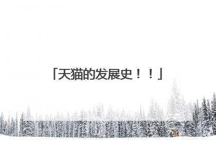 天猫的发展史!!