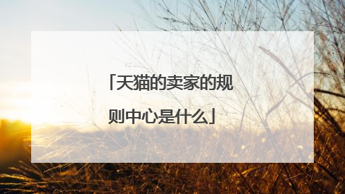 天猫的卖家的规则中心是什么