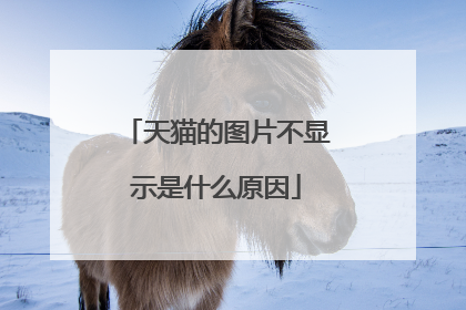 天猫的图片不显示是什么原因